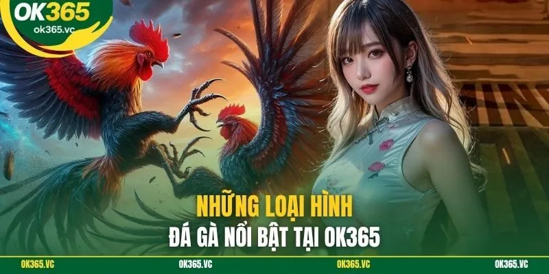 Những loại hình đá gà nổi bật tại OK365