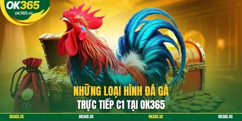 Những loại hình đá gà trực tiếp C1 tại OK365