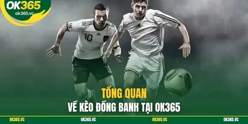 Tổng quan về kèo đồng banh tại Ok365