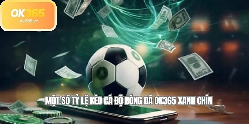 Một số tỷ lệ kèo cá độ bóng đá OK365 xanh chín 