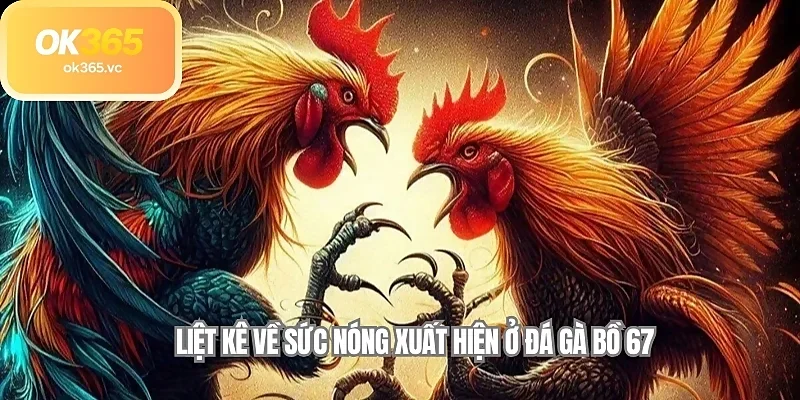  Liệt kê về sức nóng xuất hiện ở đá gà bồ 67 