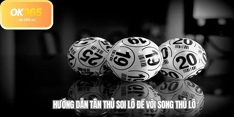 Hướng dẫn tân thủ soi lô đề với song thủ lô